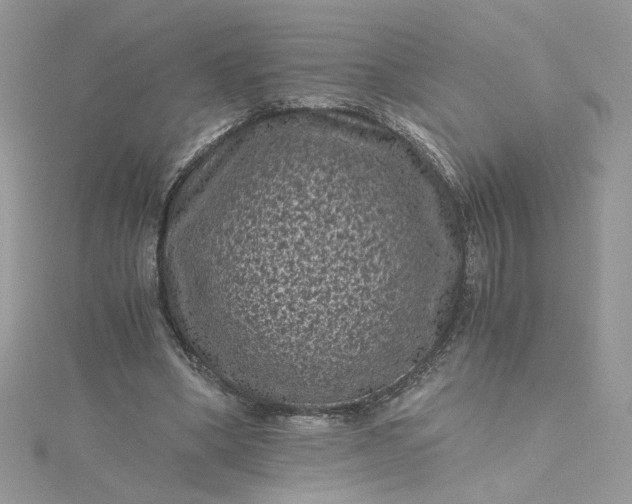 X0000115370394200911171419