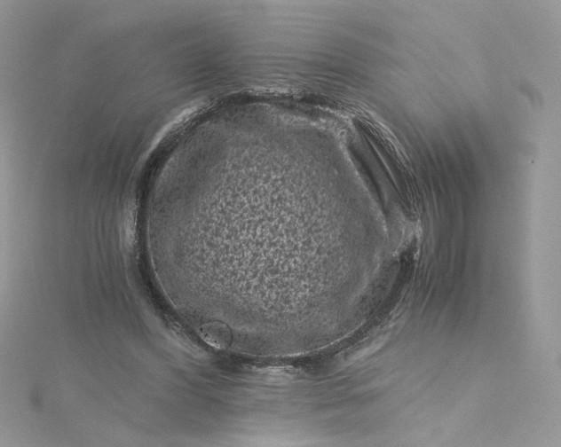 X0000115370396200911171419