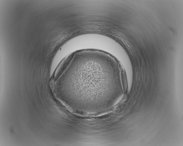 X0000115370411200911171418