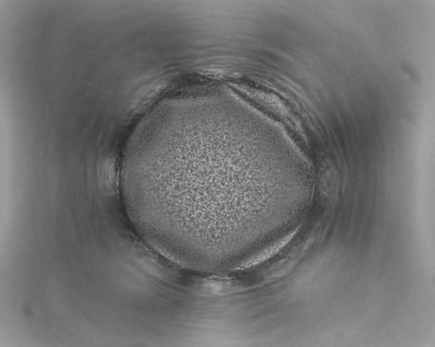 X0000115370420200911171418
