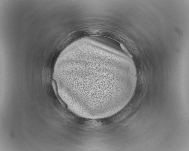 X0000115370421200911171418