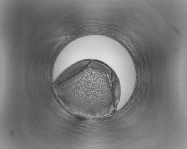 X0000115370423200911171418