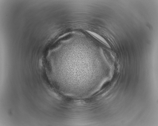 X0000115370424200911171418