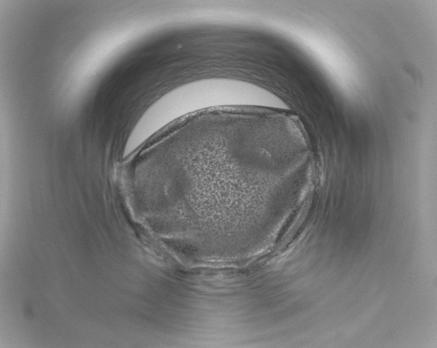 X0000115370431200911171418