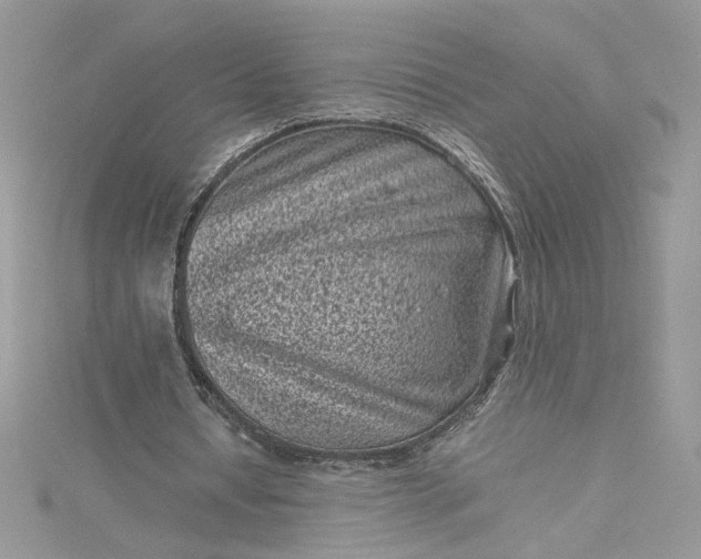 X0000115370434200911171417