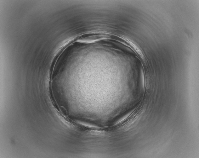 X0000115370437200911171417