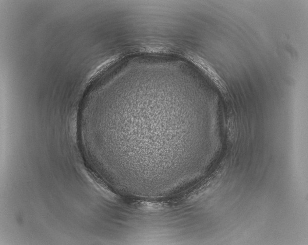 X0000115370442200911171418
