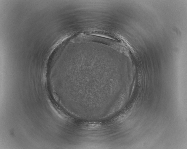 X0000115370443200911171418