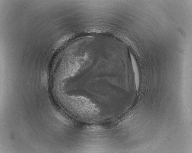 X0000115370444200911171418