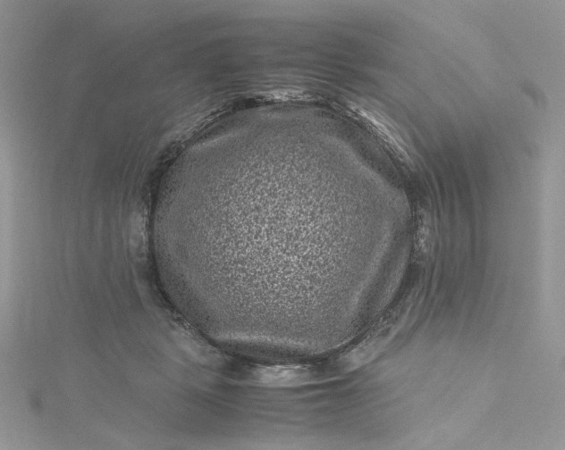 X0000115370461200911171418