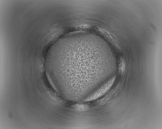 X0000115370464200911171418