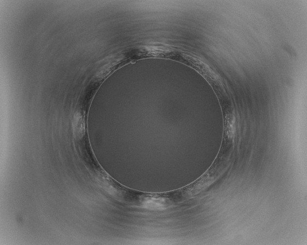 X0000115370471200911171418
