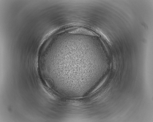 X0000115370486200911171417