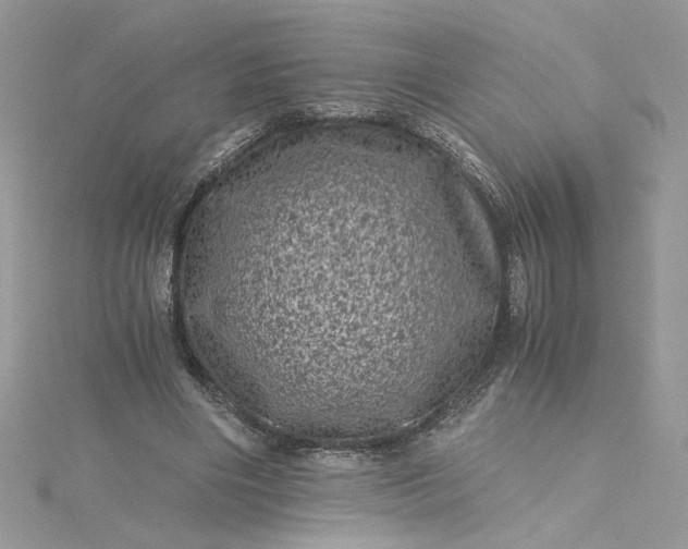 X0000115370490200911171417