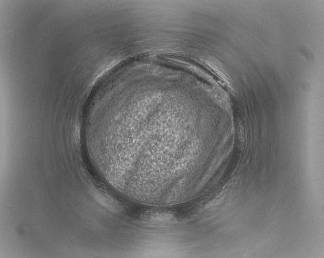 X0000115370491200911171417