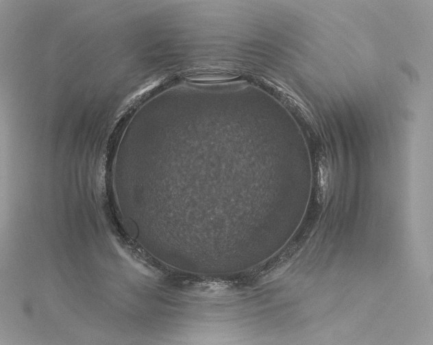 X0000115370492200911171417