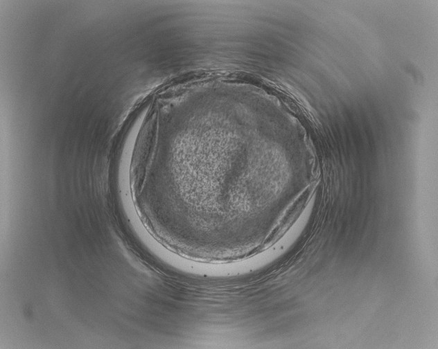 X0000115370496200911171417