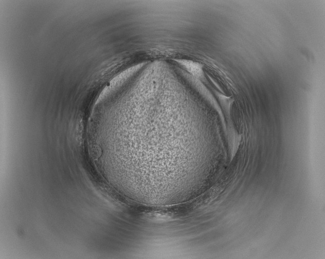 X0000115370498200911171417