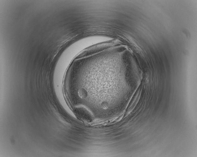 X0000115370500200911171417