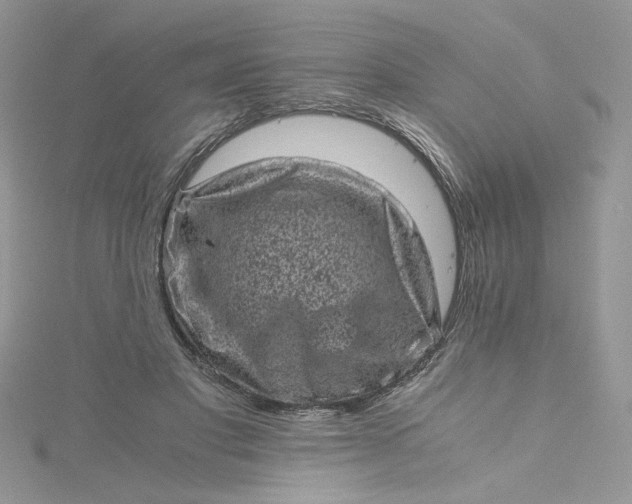 X0000115370501200911171417