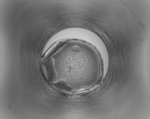 X0000115370517200911171417