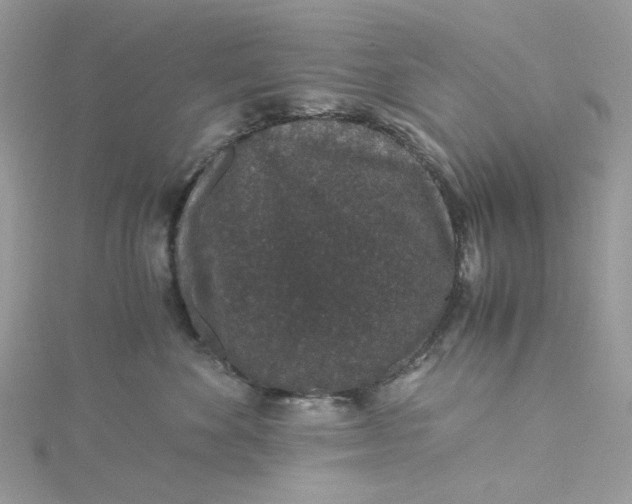 X0000115370524200911171417
