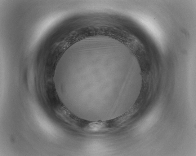 X0000115370526200911171417