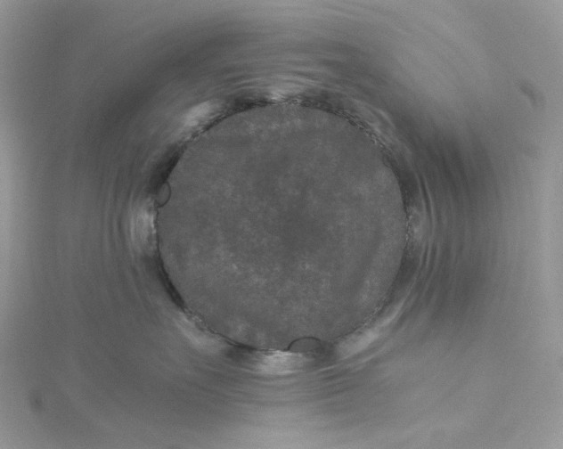 X0000115370527200911171417