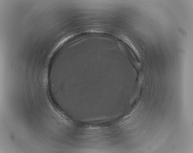 X0000115370531200911171416