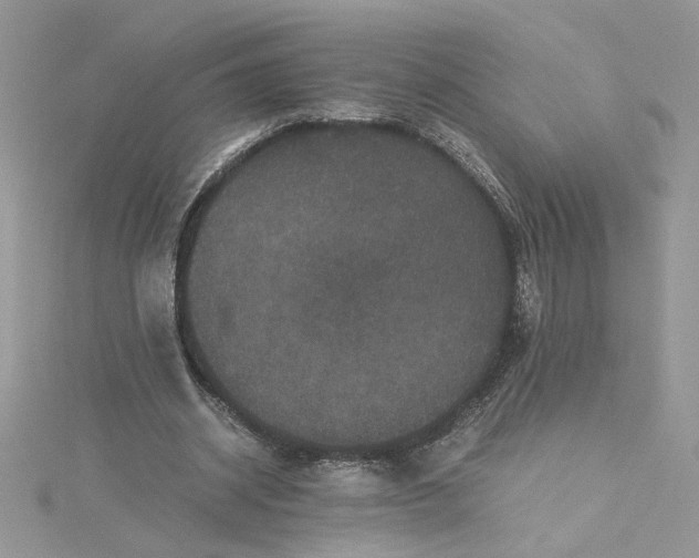 X0000115370534200911171416