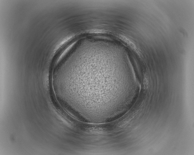 X0000115370535200911171416