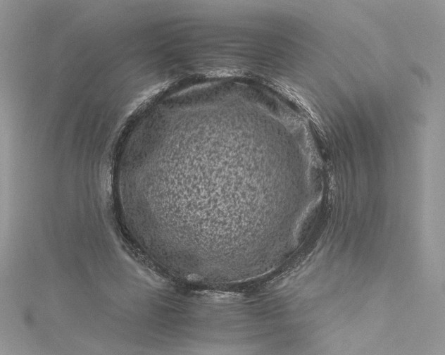 X0000115370539200911171416