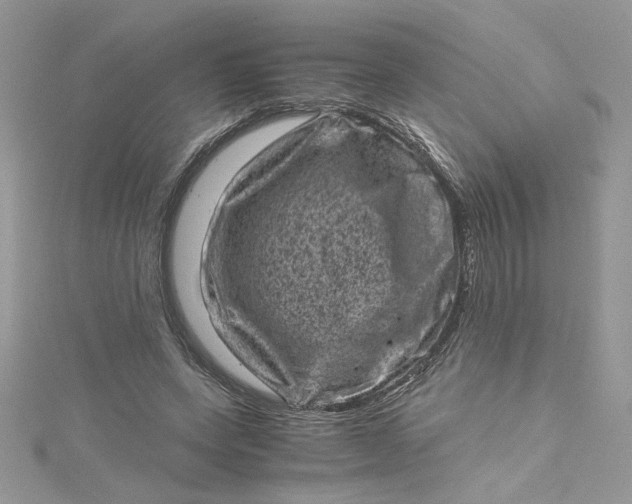 X0000115370543200911171416
