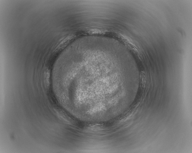 X0000115370550200911171416