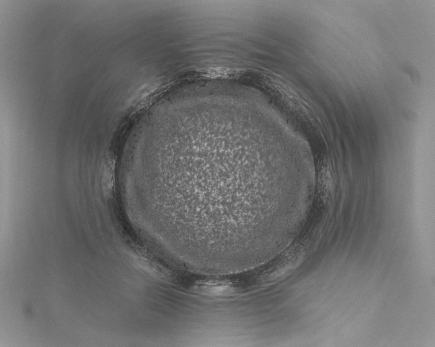 X0000115370554200911171416