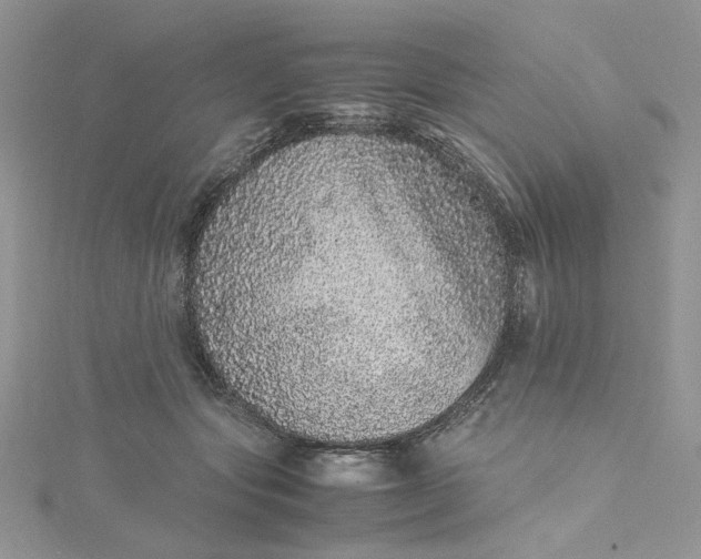 X0000115370557200911171416