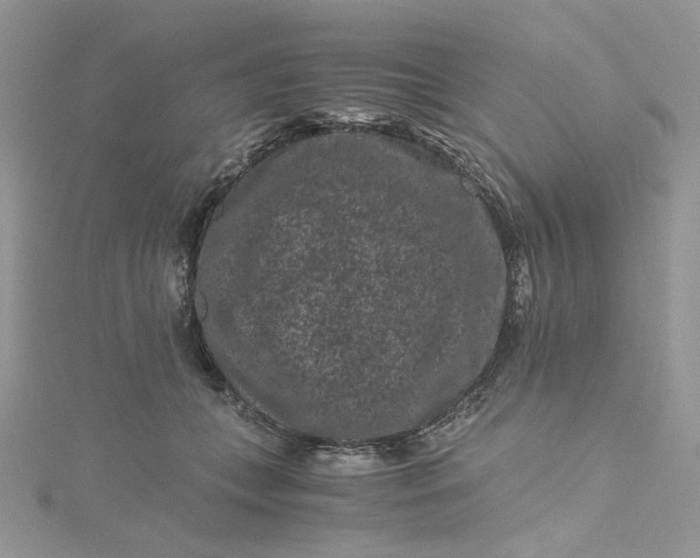 X0000115370559200911171416