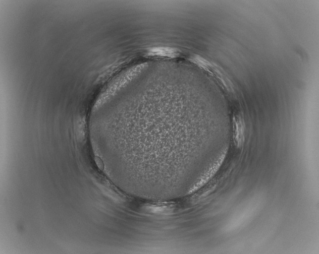 X0000115370563200911171416