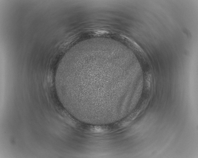 X0000115370565200911171416
