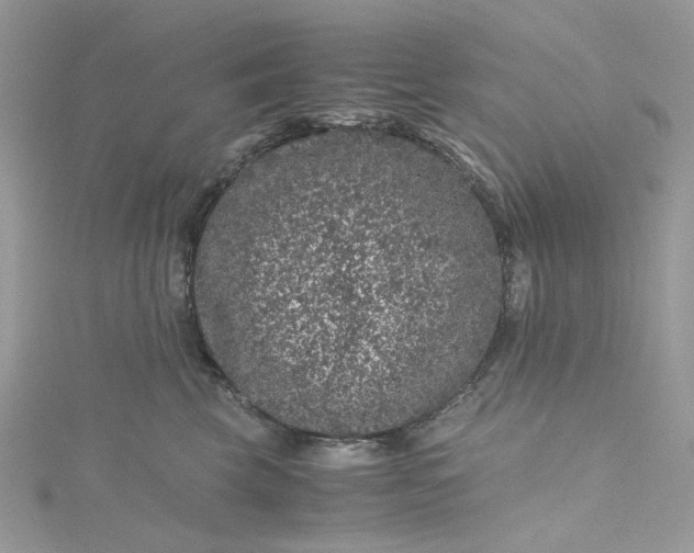 X0000115370569200911171417