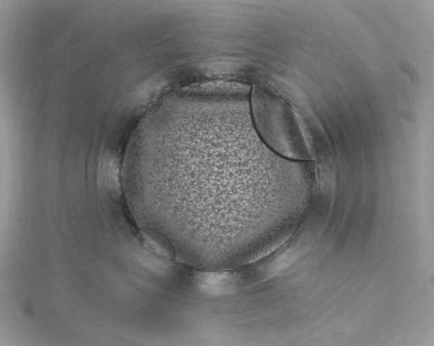 X0000115370575200911171417