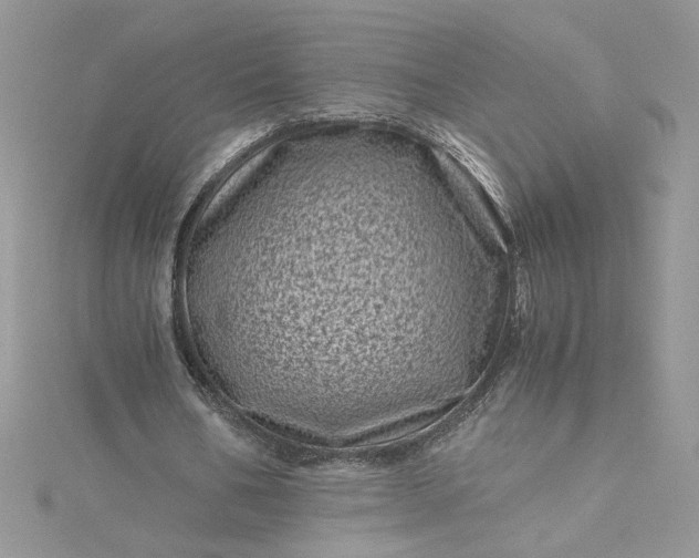 X0000115370578200911171416