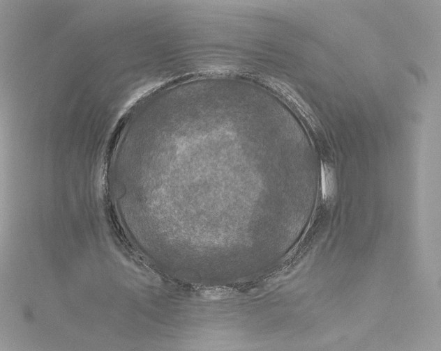 X0000115370579200911171416