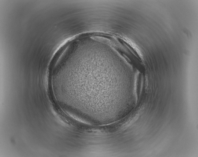 X0000115370580200911171416