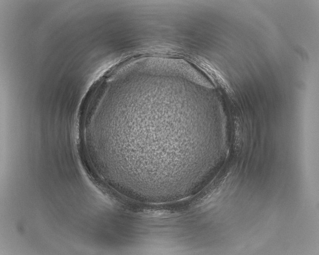 X0000115370582200911171416