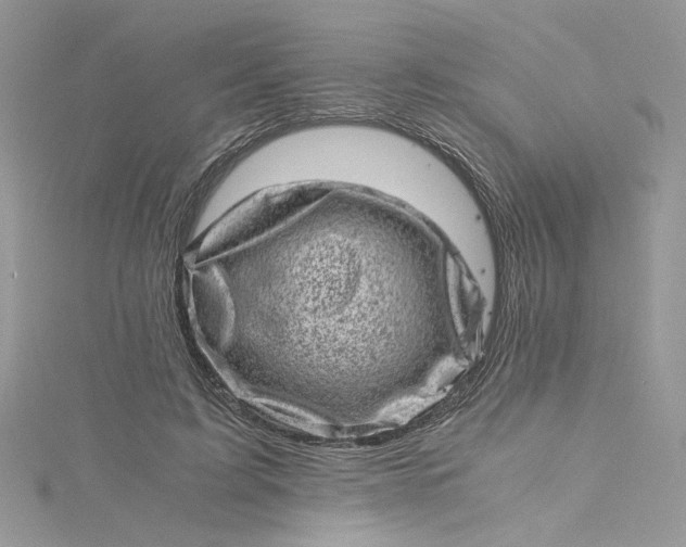 X0000115370595200911171416