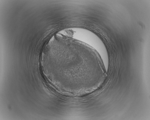 X0000115370599200911171416