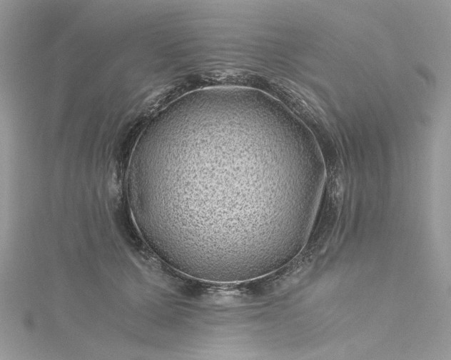 X0000115370607200911171416