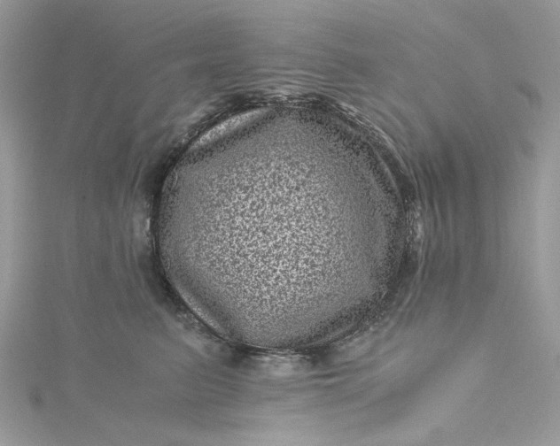 X0000115370615200911171416