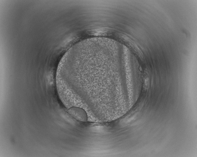 X0000115370620200911171415